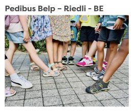 Elternmitwirkung